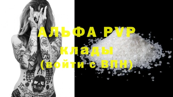 ешки Бородино