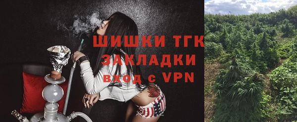 ешки Бородино