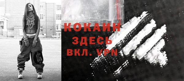 ешки Бородино